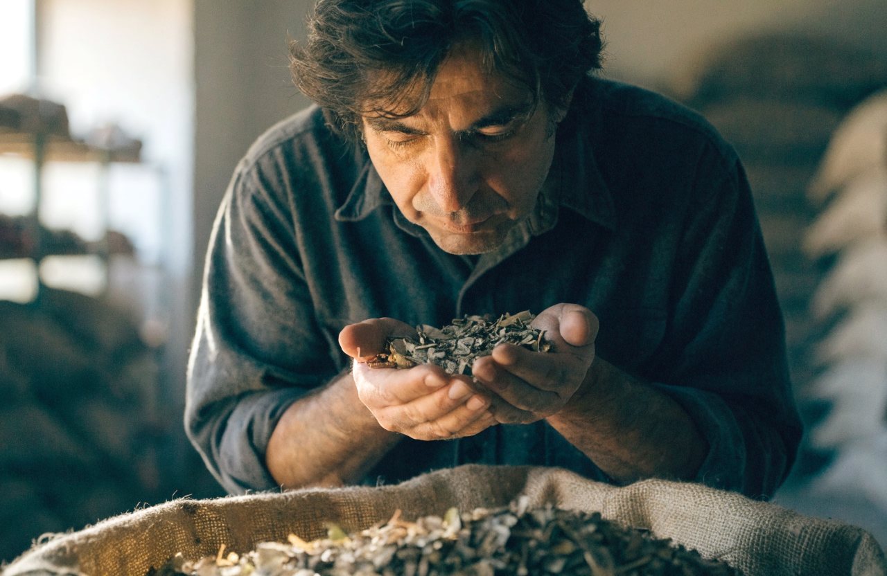 A supplier inspecting dried botanicals held in cupped hands
